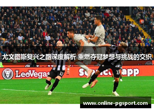 尤文图斯复兴之路深度解析 重燃夺冠梦想与挑战的交织