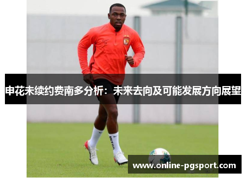 申花未续约费南多分析：未来去向及可能发展方向展望