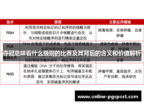 夺冠意味着什么级别的比赛及其背后的含义和价值解析