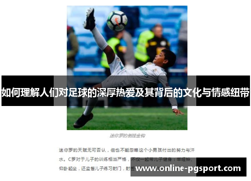 如何理解人们对足球的深厚热爱及其背后的文化与情感纽带