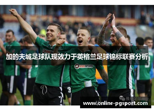 加的夫城足球队现效力于英格兰足球锦标联赛分析